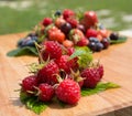 background of the berry collection Royalty Free Stock Photo