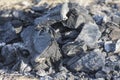 Background of big black coals. Burned out bonfire. Selective focus Royalty Free Stock Photo