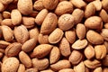 Background of big raw unpeeled almonds situated arbitrarily Royalty Free Stock Photo