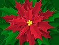 Background with a big red flower in the center. Christmas poster in paper art style. Poinsetia with green and red leaves Royalty Free Stock Photo