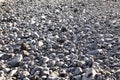 Background of big round beach with cobble stones washed out by the ocean Royalty Free Stock Photo