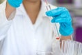 Biochemical analysis and Chemical analysis in Lab. Royalty Free Stock Photo