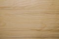 Background of birch boards