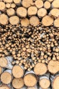 Background of birch firewood stacked