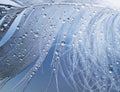 background with bird feather in large and small shiny water drops Royalty Free Stock Photo