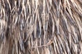 Background bird feathers Royalty Free Stock Photo