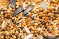 Background of birdseed. close Royalty Free Stock Photo