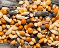 Background of birdseed. close Royalty Free Stock Photo