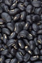 Background of black beans