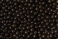 The background of black caviar of premium beluga sturgeon fish.