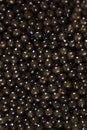 The background of black caviar of premium beluga sturgeon fish.