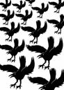 Background black crows