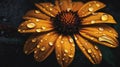 Background of Black Eyed Susan with raindrops created with generative AI technology