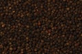 Background of black peppercorns Royalty Free Stock Photo