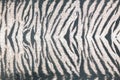 Background of black striped animal fur print