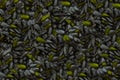 Background black sunflower seeds bright green khaki bright interspersion base design vintage Royalty Free Stock Photo