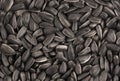 Background of black sunflower seeds Royalty Free Stock Photo