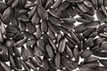 Background of black sunflower seeds Royalty Free Stock Photo