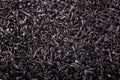 Black tea background Royalty Free Stock Photo