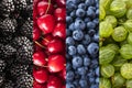 Background of blackberry, cherry, blueberry and gooseberry. Top view. ÃÂ¡ollage of different berries and fruits. background of colo