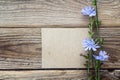 Background with blank card and flowers of chicory on the old woo