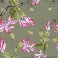 Background with blooming cactus schlumbergera. Seamless pattern.