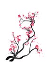 Watercolor sakura frame. Background with blossom cherry tree branches. Hand drawn japanese flowers background Royalty Free Stock Photo