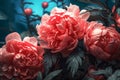 peony nature flora bloom blossom bright design flower neon colours. Generative AI.