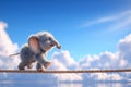 The background is blue as a baby elephant walks on a tightrope Royalty Free Stock Photo