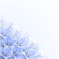 Background with blue bluebell flowers. Vector illustration.