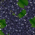 Background of blue bunches of grapes Royalty Free Stock Photo