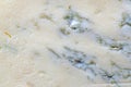 Background of blue Gorgonzola blue cheese, traditional soft blue Italian cheese Royalty Free Stock Photo