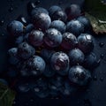 Background with blue grape, appetizing fresh blue bunch of grapes with water drops, berries close-up, Royalty Free Stock Photo