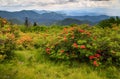 North Carolina Mountain Background