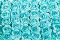 Background of blue rose flowers. Many blue roses close up