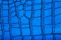 Background of blue skin of a crocodile. Blue alligator patterned background.