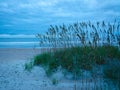 Blue Morning on Amelia Island Royalty Free Stock Photo