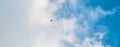 Background of blue sky with white clouds and flying bird Royalty Free Stock Photo