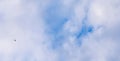 Background of blue sky with white clouds and flying bird Royalty Free Stock Photo