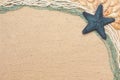Background with a blue starfish and shells