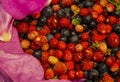 Background of blueberries and strawberry rose petals.. Royalty Free Stock Photo