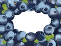 Background blueberry with copy space for your text. Freshly picked blueberry with green leaf. Concept food. Useful ripe