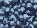 Background blueberry. Freshly picked blueberry close up. Organic food.Texture blueberry. Useful ripe blueberry rich