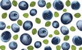 Background blueberry. Freshly picked blueberry with green leaf. Organic food.Texture blueberry. Useful ripe blueberry