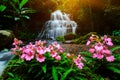 Background blur Mandang waterfall in Thailand.With a pink flower