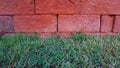 The background of a blurred brick wall and a small, bright grass Royalty Free Stock Photo