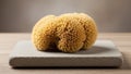 The background is blurred emphasizing the sponge s detailed texture Royalty Free Stock Photo