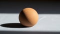 The background is blurred focusing attention solely on the egg Royalty Free Stock Photo