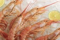 Background of boiled shrimp with lime on ice Royalty Free Stock Photo