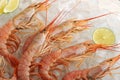 Background of boiled shrimp with lime on ice Royalty Free Stock Photo